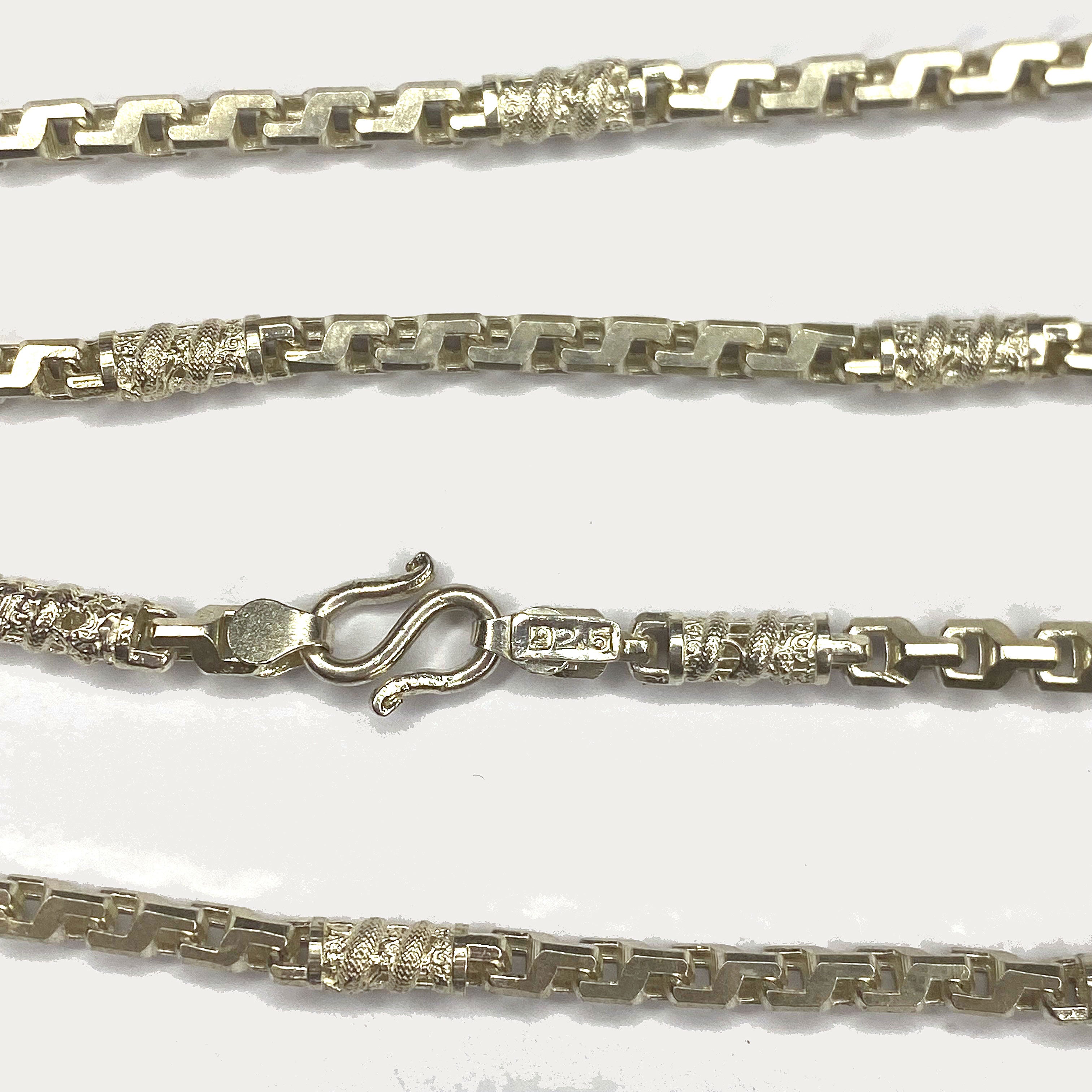 Dragon Link Necklace - Silver Chain